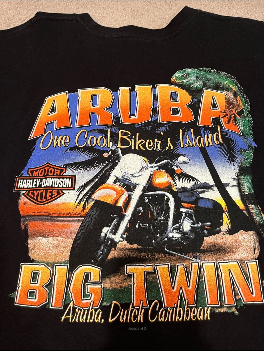 Harley-Davidson Black T-Shirt with Blue and Orange Logo